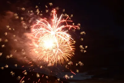 DSC_3350 (Large).JPG